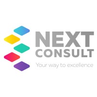 Next Consult logo