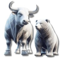 NNM Securities Pvt Ltd. logo