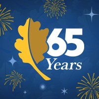 North Oaks Health System logo