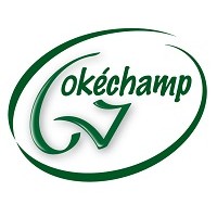OKECHAMP B.V. logo