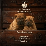 Antiques on Old Plank Road logo