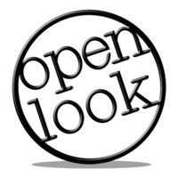 Open Look Business Solutions logo