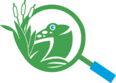 ODC Network logo