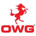 Only World Group logo