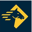 Paladin Security logo