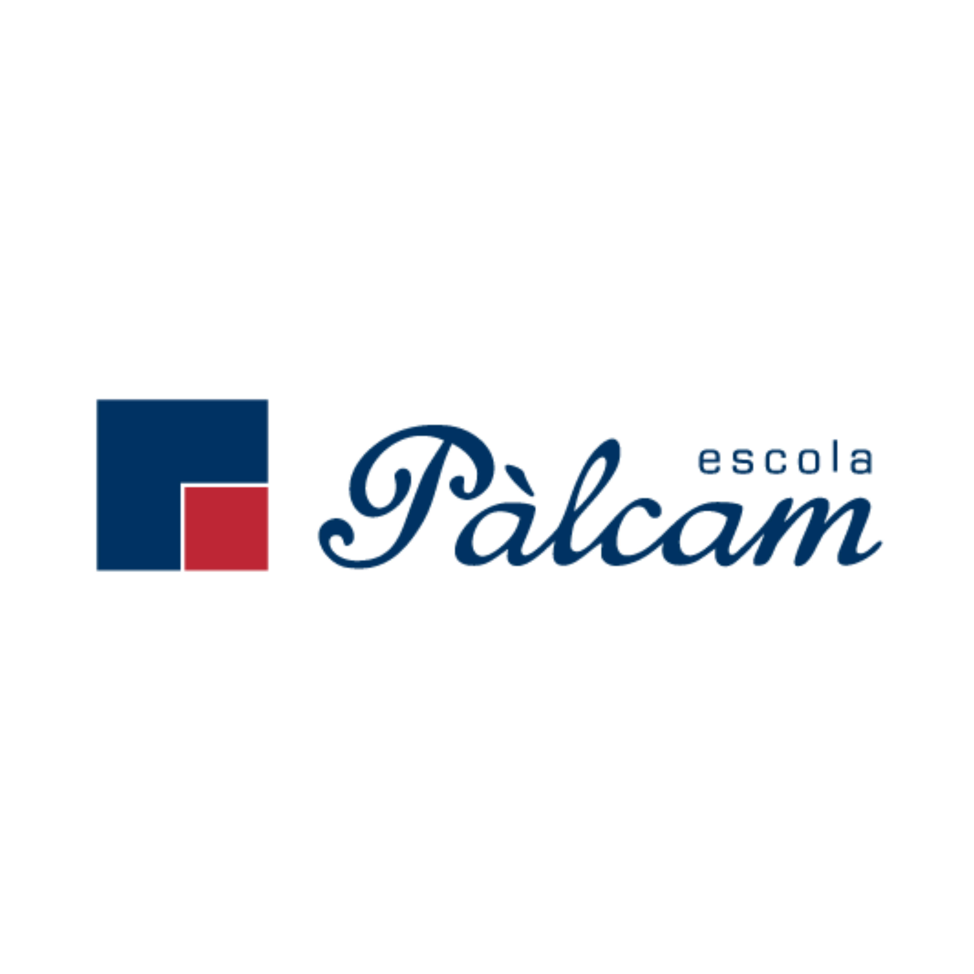 PALCAM logo