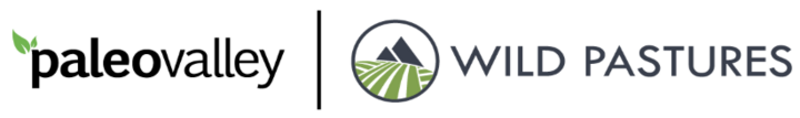 Paleovalley logo