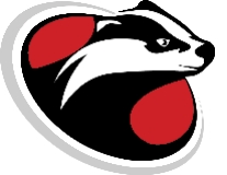 PartsBadger LLC logo