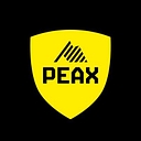 PEAX AG logo