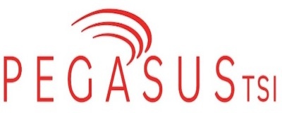 PegasusTSI logo