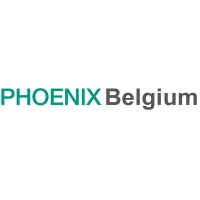 PHOENIX group - Integrated Healthcare Provider logo