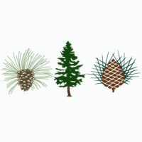 Ross Resorts: Pine Needles | Mid Pines | Southern Pines Golf Club logo