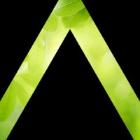 Pinnacle Wealth Management logo