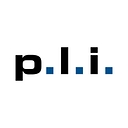 p.l.i. solutions GmbH logo