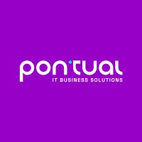 Pontual - Software Solutions logo