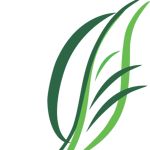 PT Zensei Indonesia logo