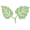Primo Center logo