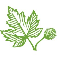 Princeton Friends School logo