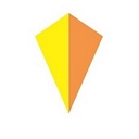 PRISM Vision Group logo