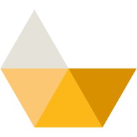 Protecnus Software logo