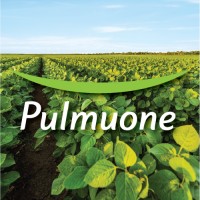 Pulmuone Foods USA, Inc. logo
