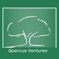 QUERCUS VENTURES - boutique de consultoría logo