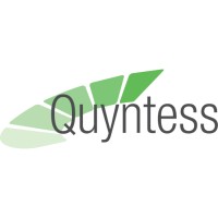 Quyntess logo