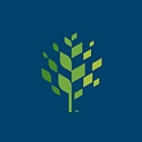 City of Raleigh Municipal Government logo