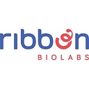 Logo Ribbon Bio