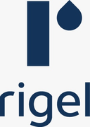 Rigel Technology (Malaysia) Sdn Bhd logo