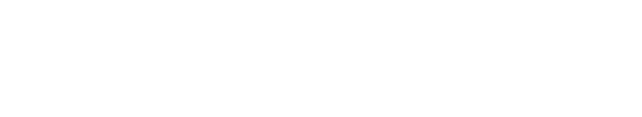 Sabel Systems logo