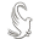 Sacconnesset Golf Club logo