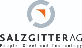 Salzgitter AG logo