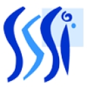 Sandman Software Systems Inc. logo