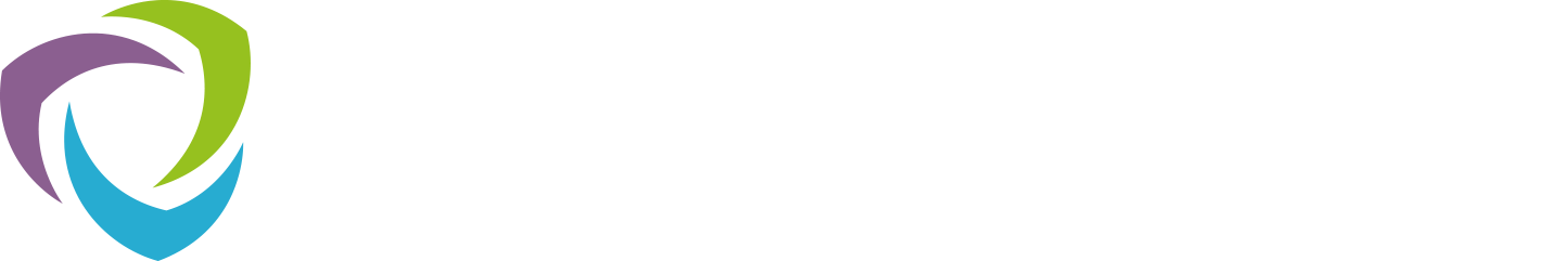 Sandvine logo