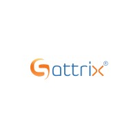Sattrix Information Security logo