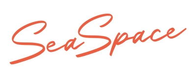 SeaSpace logo