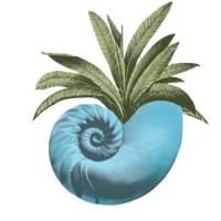 Seabrook Island Club logo