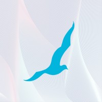 Seagull Advertising logo