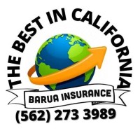 Barua Insurance logo