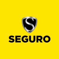 SEGURO SEGURANÇA logo