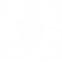 Shield Security & Services GmbH