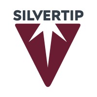 Silvertip Completion Services logo