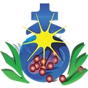 St. John of God Community Services logo