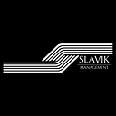 Slavik Enterprises, LLC logo