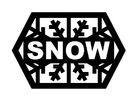Snow & Company, Inc logo
