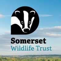 Somerset Wildlife Trust logo