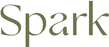 Spark Social Agency logo