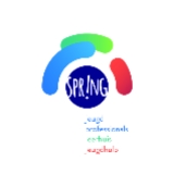 Spring Jeugdprofessionals logo