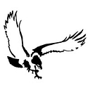 Stevens Foster Financial Advisors logo